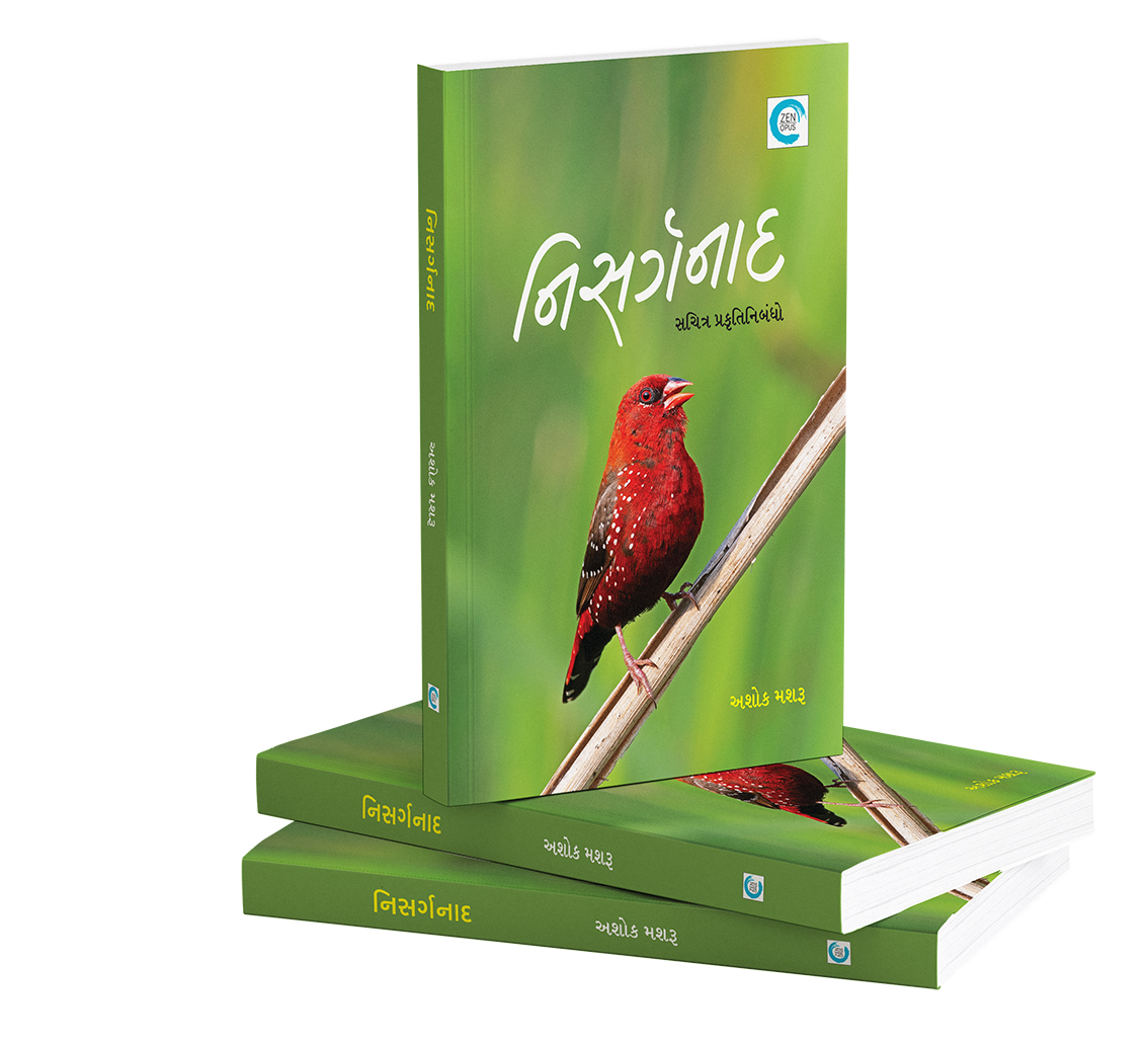 નિસર્ગનાદ